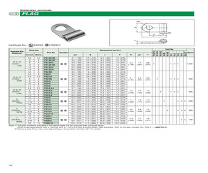 FG38-10.pdf