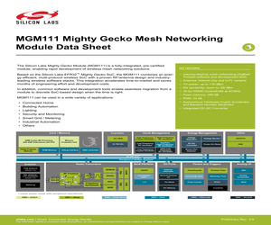 MGM111A256V1.pdf