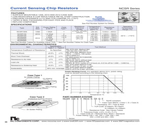 NCSR100FR016DTRGF.pdf