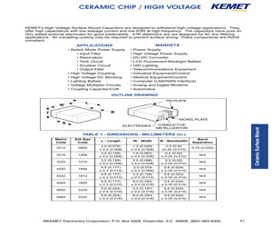 C0805C330GDGAC9028.pdf