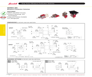 38CSP7B20S2GT.pdf