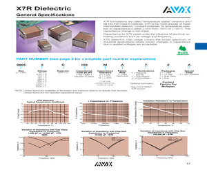 02013C181KAT2A.pdf