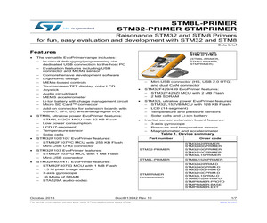 STM3210CPRIMER.pdf