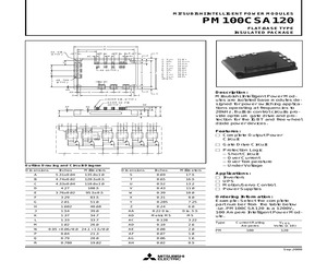 PM100CSA120.pdf