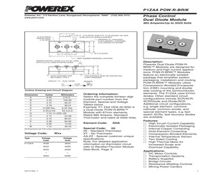 P1ZAADDA00W40.pdf