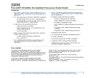 IBM25NPE405L-3FA200C.pdf