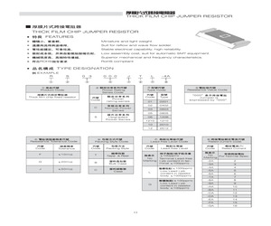 RS03000JTG.pdf