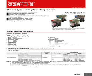 G2R-2-SN DC12(S).pdf