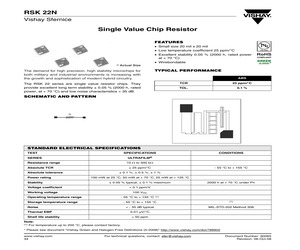 RSK22N876RB.pdf