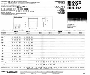 BIK-X21510250.pdf