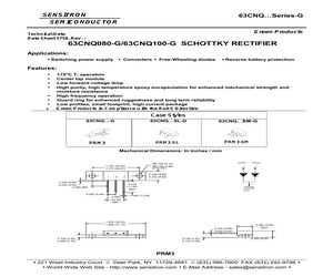 63CNQ100SL-G.pdf