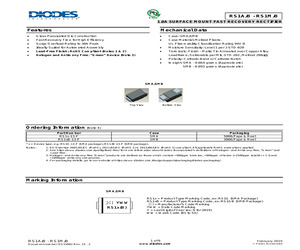 RS1A-13-F.pdf