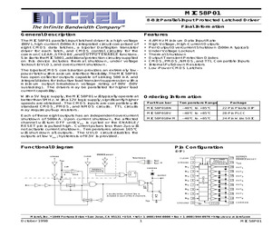 MIC58P01YWMTR.pdf