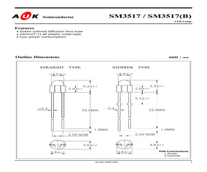 SM3517(B).pdf