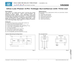 V6300BSP5B.pdf