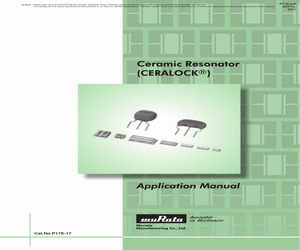 CSTCC3M58G53-R0.pdf