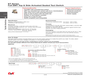 KT11P4SM34LFS.pdf