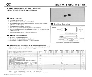 RS1D.pdf