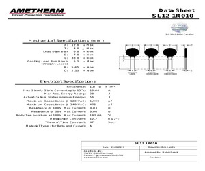 SL121R010.pdf