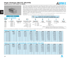 1210AC300KA11A.pdf