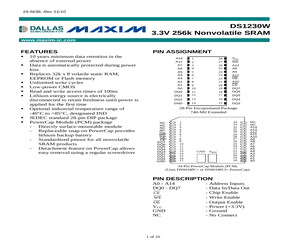 DS1230W-100IND+.pdf