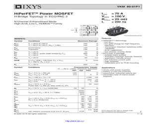 VKM60-01P1.pdf