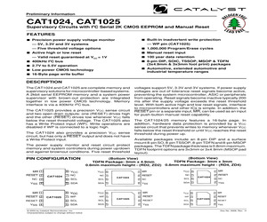 CAT1024RA-42.pdf