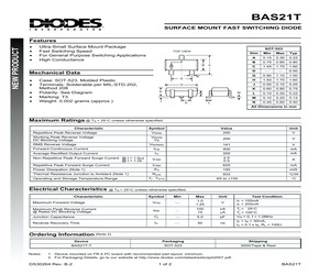 BAS21T.pdf