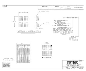 SST-0101-ST-11-L.pdf