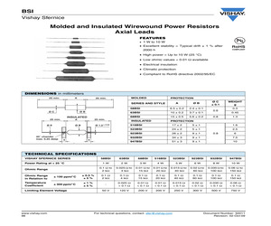 BSI05830R10DA22.pdf