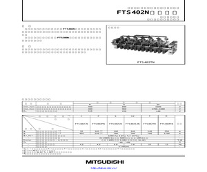 FTS402CN.pdf