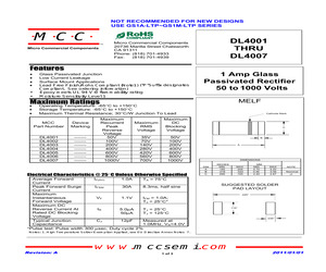 DL4007-TP.pdf