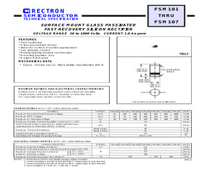 FSM101.pdf