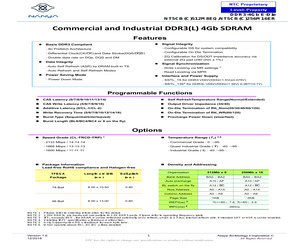 NT5CC256M16ER-EKI.pdf