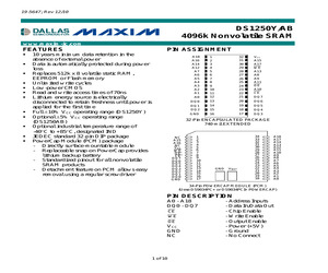 DS1250AB-70+.pdf