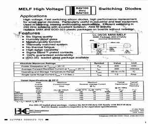 BAV100.pdf