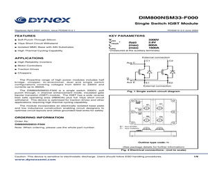 DIM800NSM33-F000.pdf