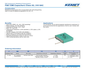 F861FB105K310L.pdf