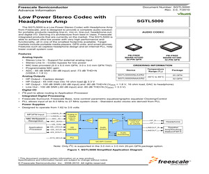 SGTL5000XNLA3/R2.pdf