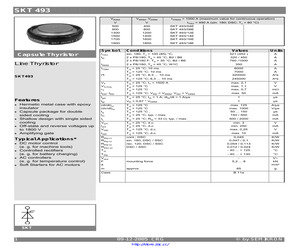 SKT493/04E.pdf