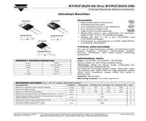 BYWB29-100HE3/81.pdf