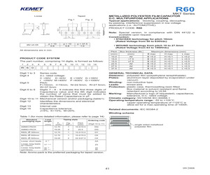 R60EN4330AA30J.pdf