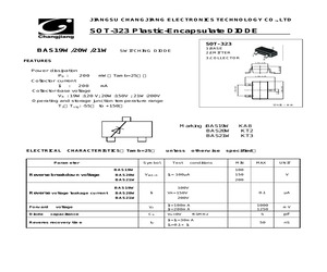 BAS19W.pdf