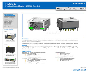 RJSBE5381C2.pdf