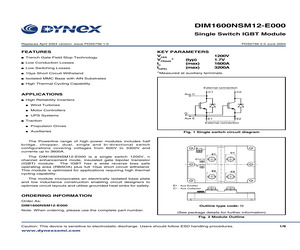 DIM1600NSM12-E000.pdf