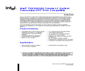 TXN310110000000.pdf