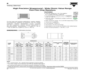 P1005K3010PG.pdf