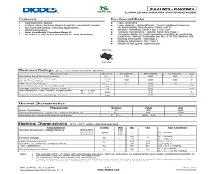 BAV20WS-7.pdf