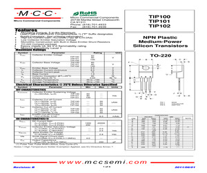 TIP100-BP.pdf