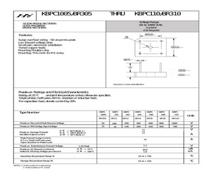 BR305.pdf